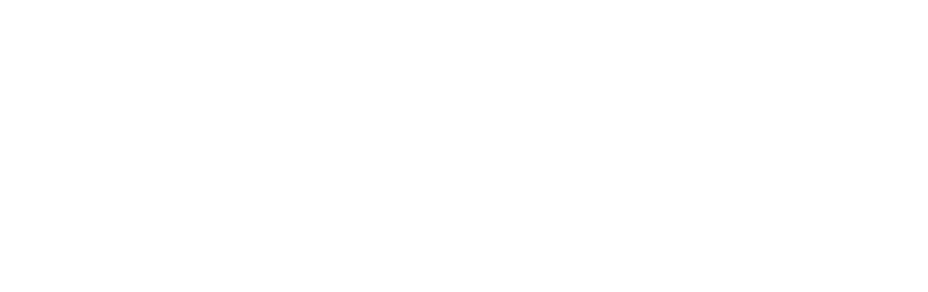 Logo IDATA